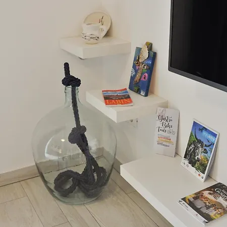 Lavandula * Labin (Istria)