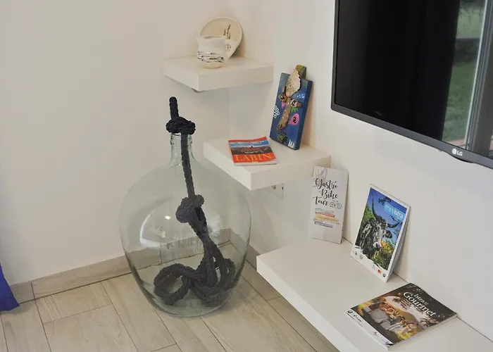 Lavandula * Labin (Istria)