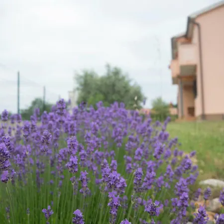Lägenhet Lavandula *